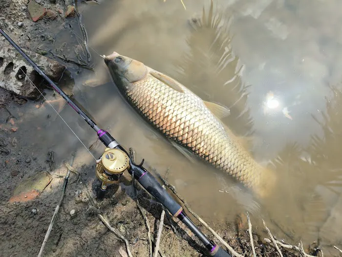 Ijok natural kampung fishing Picture 2