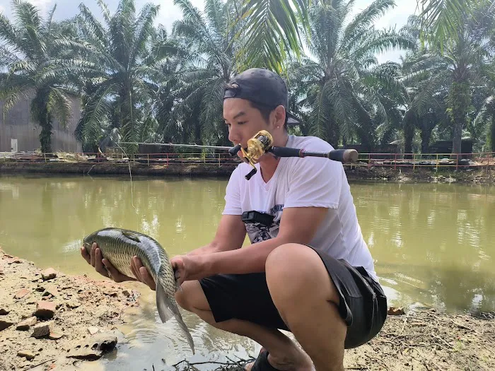 Ijok natural kampung fishing Picture 4