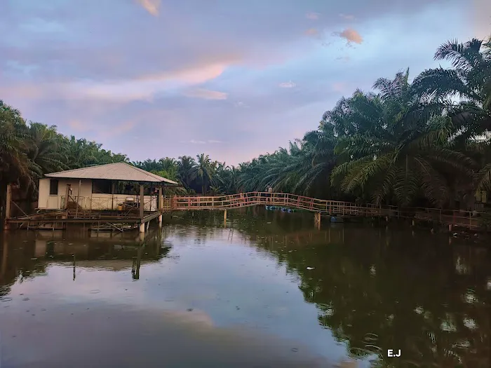 Ijok natural kampung fishing Picture 5