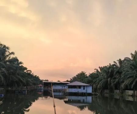 Ijok natural kampung fishing