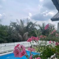 The Little Cottage ico