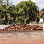 Pusat Timbang Koperasi Penanam Sawit Mampan Daerah Bera Berhad
