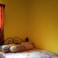 Homestay d bera tementi ico