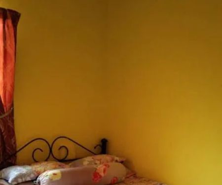 Homestay d bera tementi