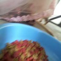 Saranghae Homestay ico