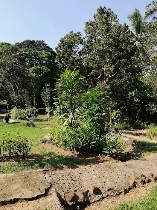 Durian Chalets Picture 4