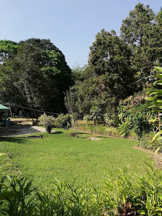 Durian Chalets Picture 6