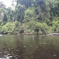 Delimah Guesthouse ico