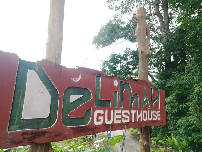 Delimah Guesthouse Picture 9