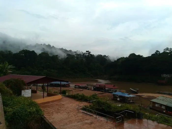 Canopy Inn Picture 5