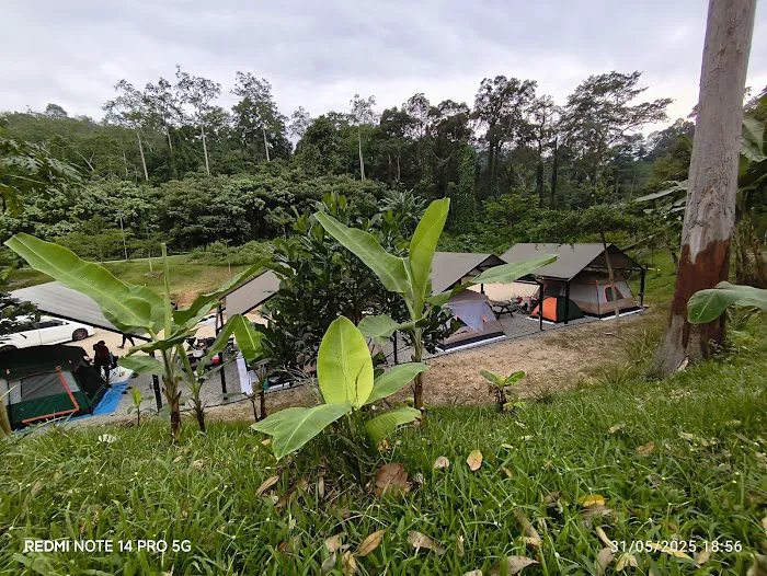 Dusun DZ Picture 6