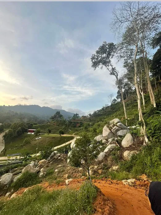 Dusun DZ Picture 4