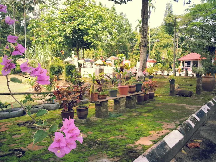 Woods Resort Picture 2