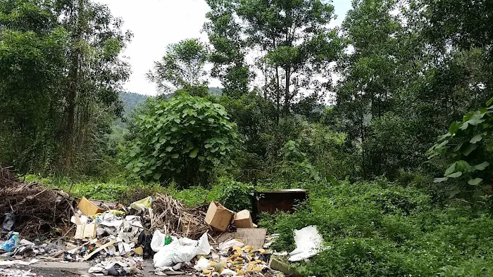 Woods Resort Picture 6