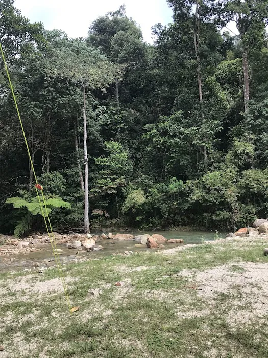 Woods Resort Picture 8
