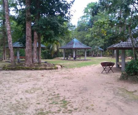 Woods Resort