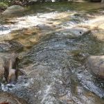 Warisan Campsite Sungai Sendat