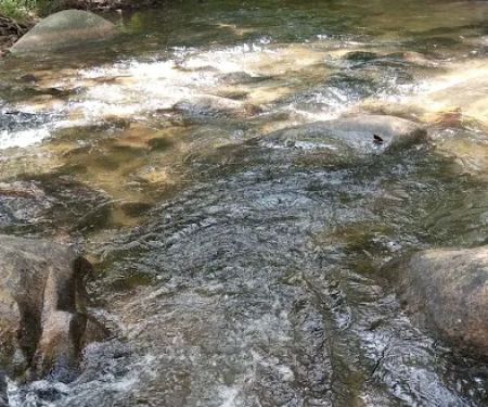 Warisan Campsite Sungai Sendat