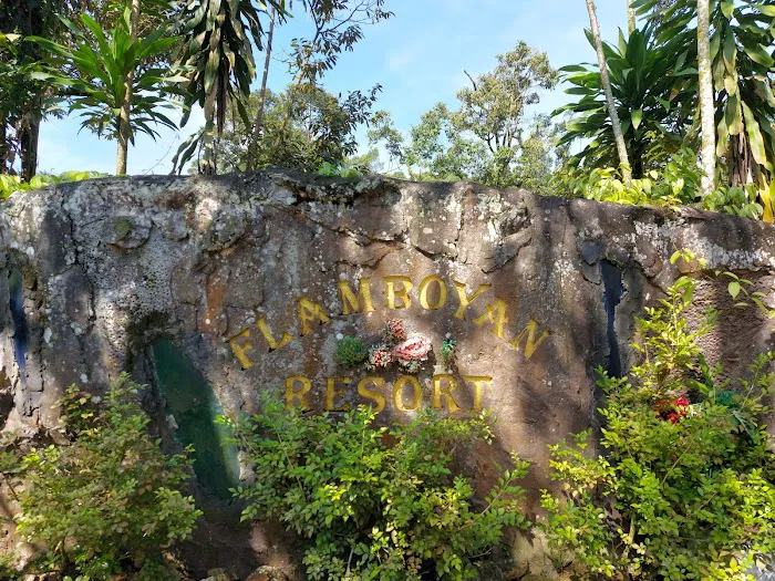 Flamboyant Resort Picture 1