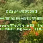 Bijisan
