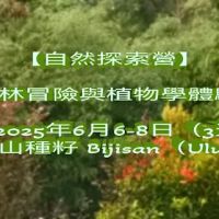 Bijisan ico