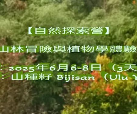 Bijisan