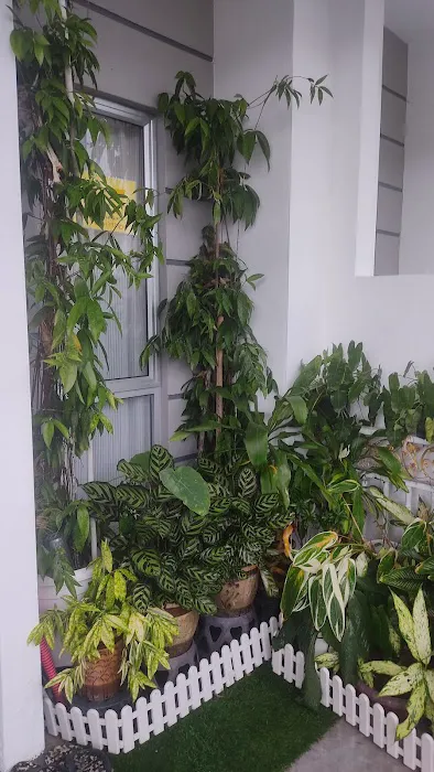 Hulu Yam Muslim Homestay Picture 1