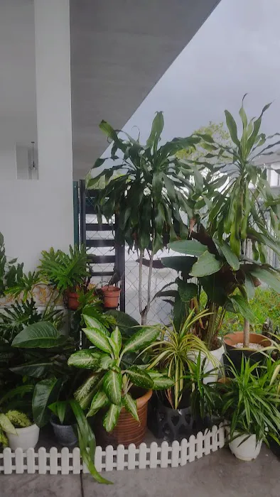 Hulu Yam Muslim Homestay Picture 6