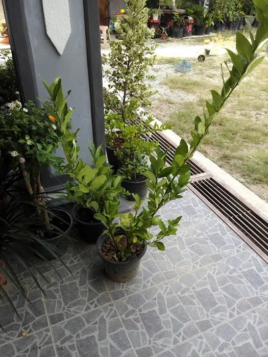 SINGGAH SINI HOMESTAY Picture 9