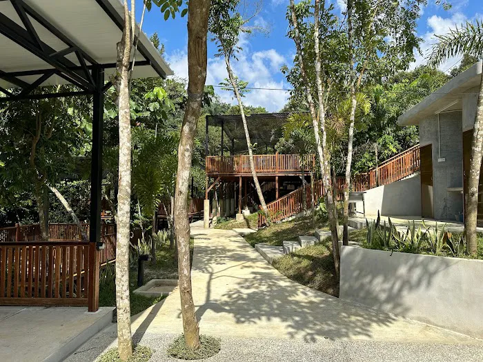 Rasa Hill Picture 6