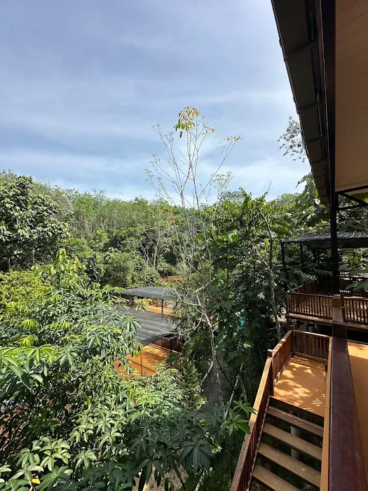 Rasa Hill Picture 10