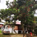 Anjung Sentosa Homestay