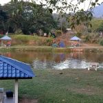 D'Qari Homestay Kuala Kubu Bharu 2