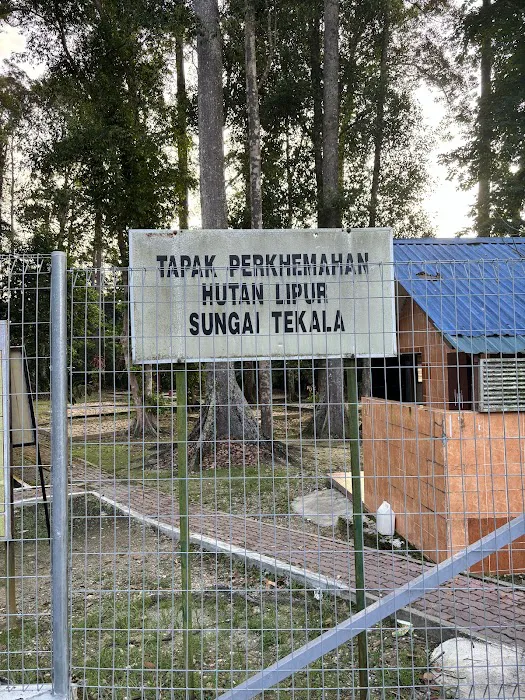 Sungai Tekala Recreational Forest Campsite Picture 3