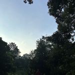 Sungai Tekala Recreational Forest Campsite