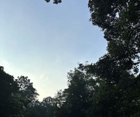 Sungai Tekala Recreational Forest Campsite