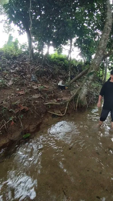 Sungai Tekala Recreational Forest Campsite Picture 4