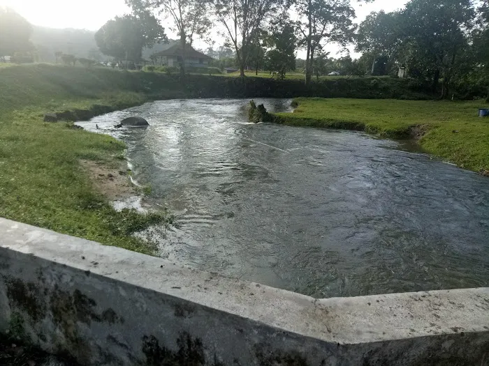 D'jering Pak Abu Picture 10
