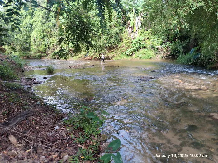 DeBambú Campsite & Agro Picture 5