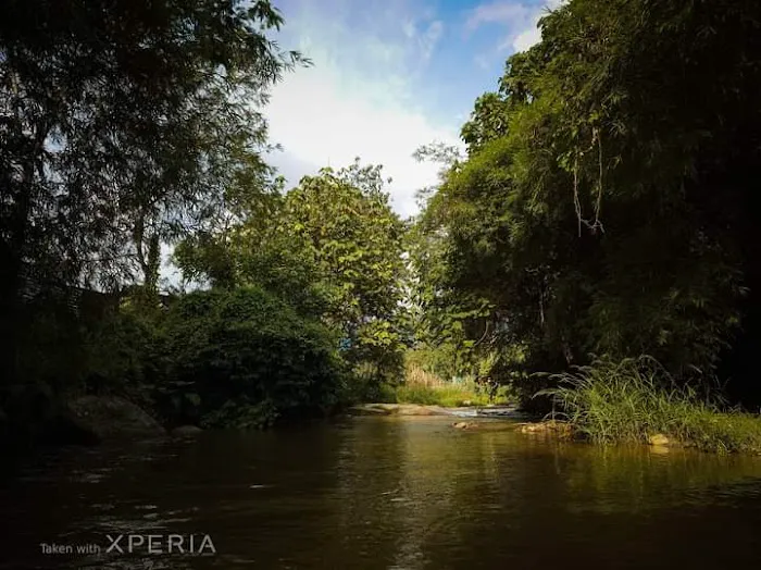 DeBambú Campsite & Agro Picture 3
