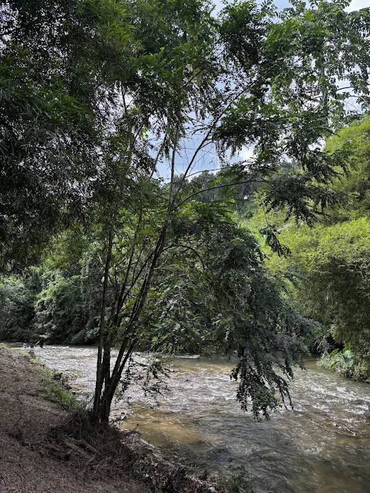 DeBambú Campsite & Agro Picture 1
