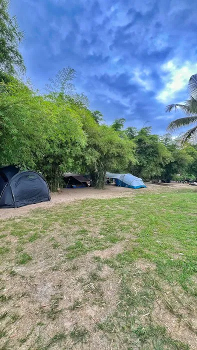 DeBambú Campsite & Agro Picture 7