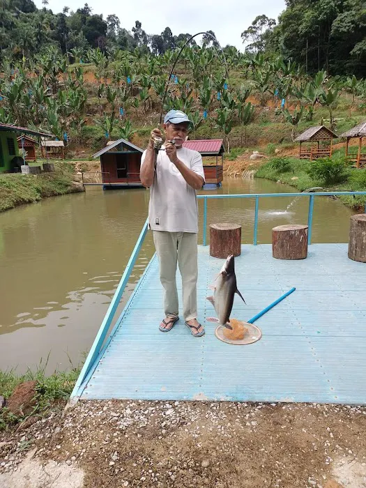 Bukit Raya Basecamp Picture 3