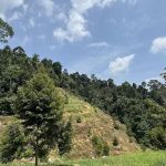 Bukit Raya Basecamp