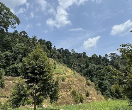 Bukit Raya Basecamp