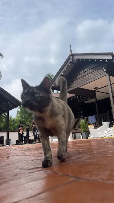 Dumoh Kayu Homestay Picture 1