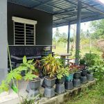 Homestay Paklang