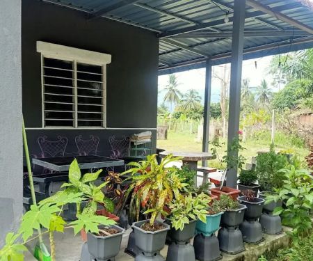 Homestay Paklang