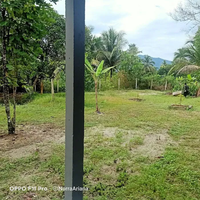 Homestay Paklang Picture 9