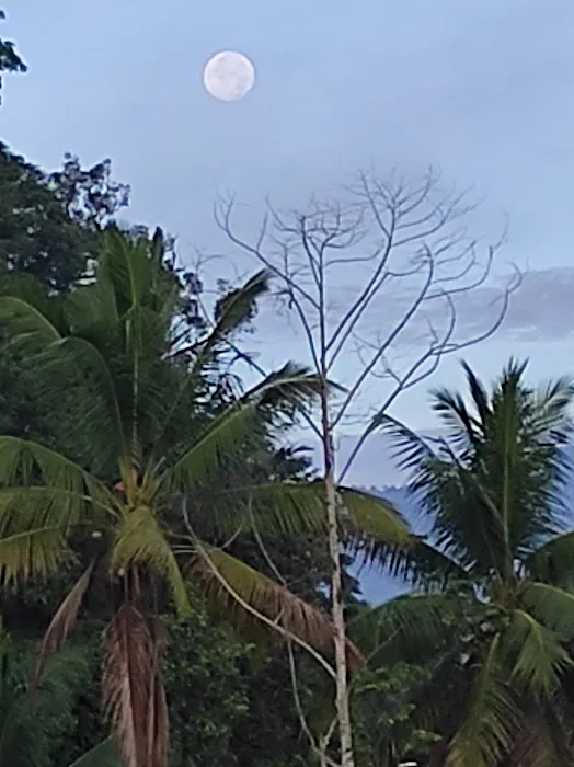 La Hulu Hut Picture 4